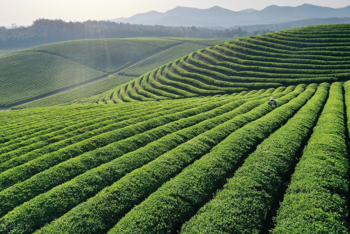 穿越重生都市合集,重生穿越流小说完本推荐