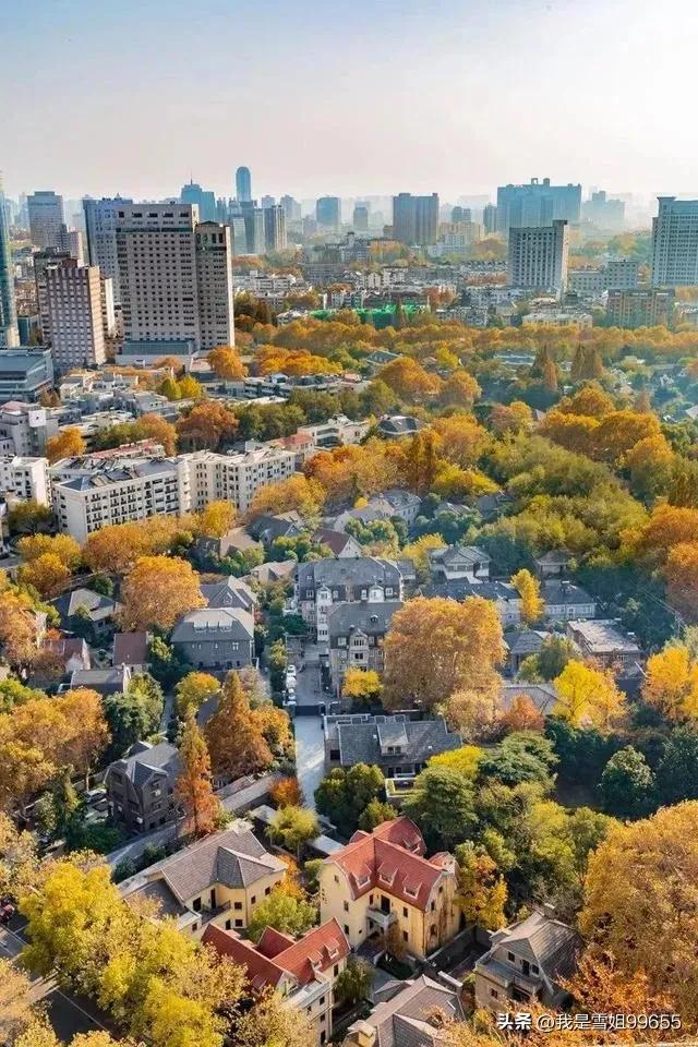 网约车提车日记,广州网约车真实记录