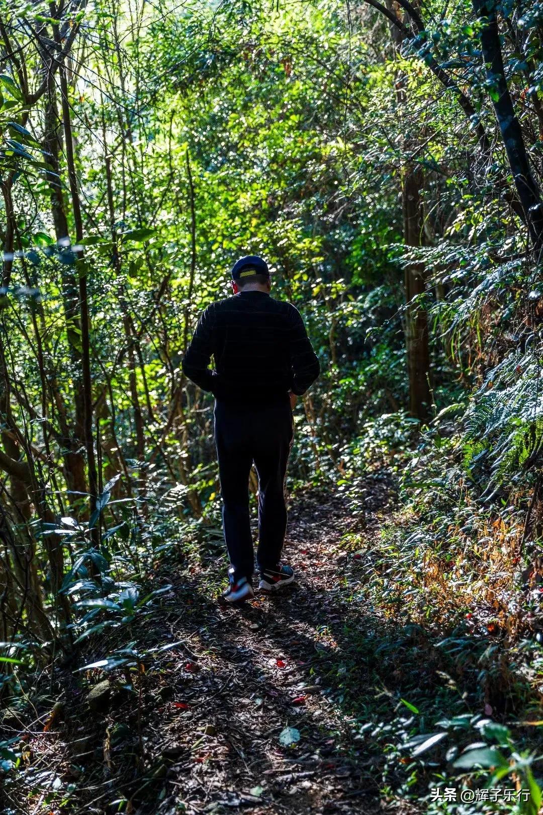 广东潮州凤凰海棠花谷，风光旖旎，3条绝美徒步线路值得一走