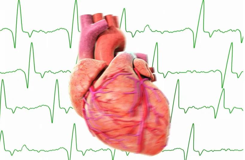 阳了心慌胸闷吃什么,阳了心慌气短怎么办