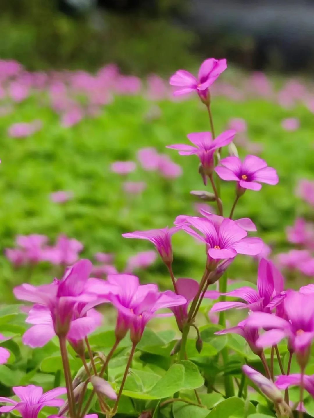 血案频频，切记低调做人