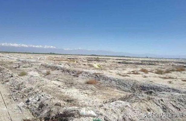 美国怎样种大豆,美国大豆陷阱