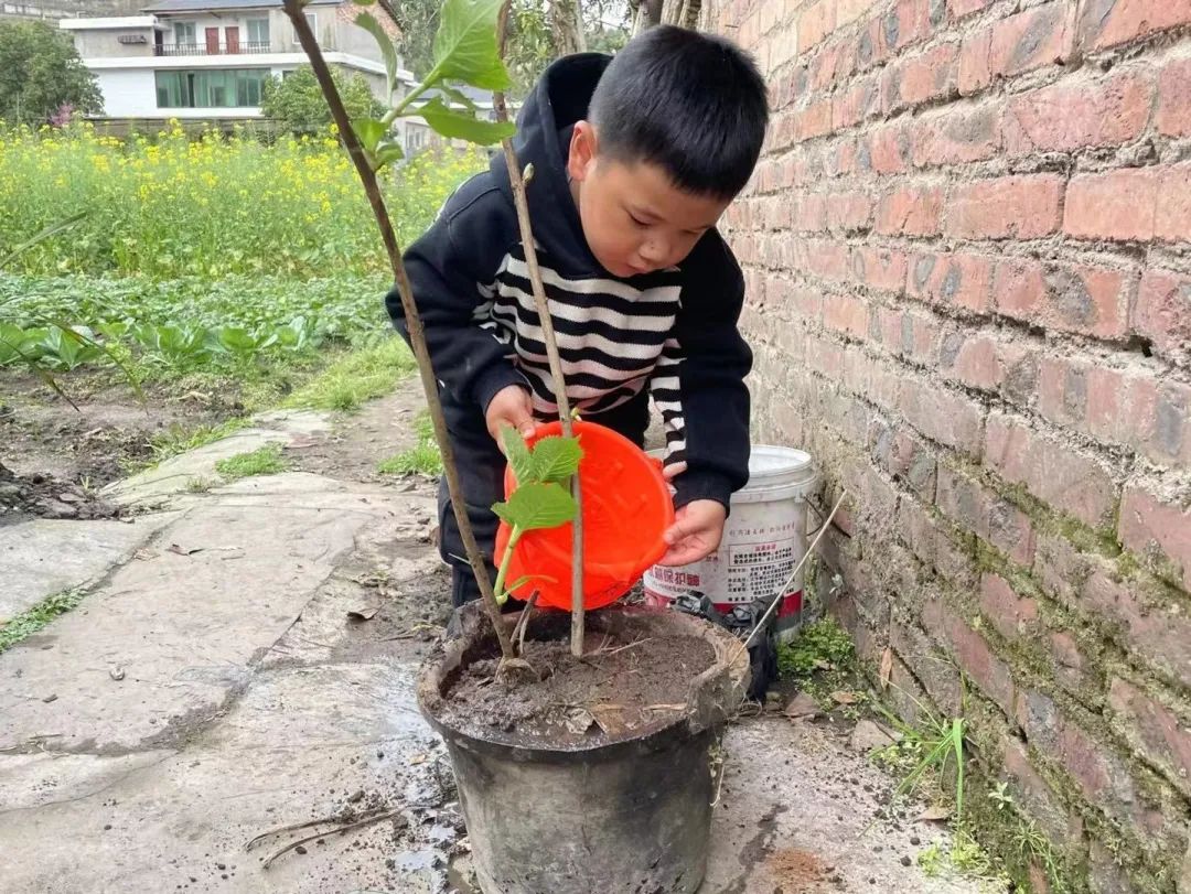 洪雅县第四幼儿园叫什么名字,洪雅第四幼儿园在哪里