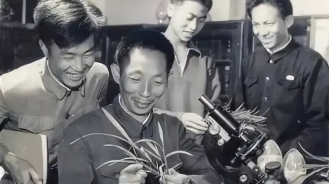 1949到1978年中国经济变化视频,中国经济1974