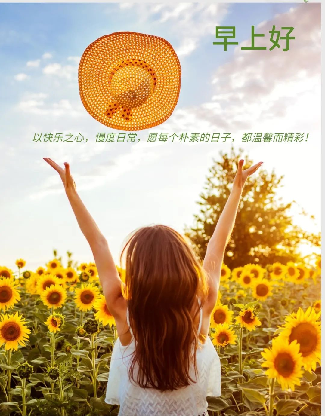 新的一周早安正能量句子图文,早安语录大全图文