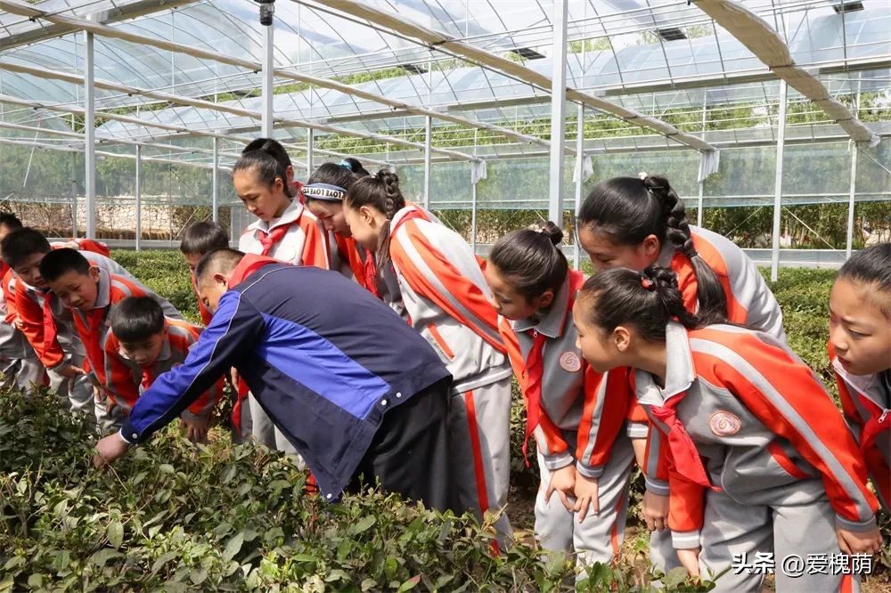 槐荫区大金小学和烟台路小学,济南市槐荫区大金小学怎么样