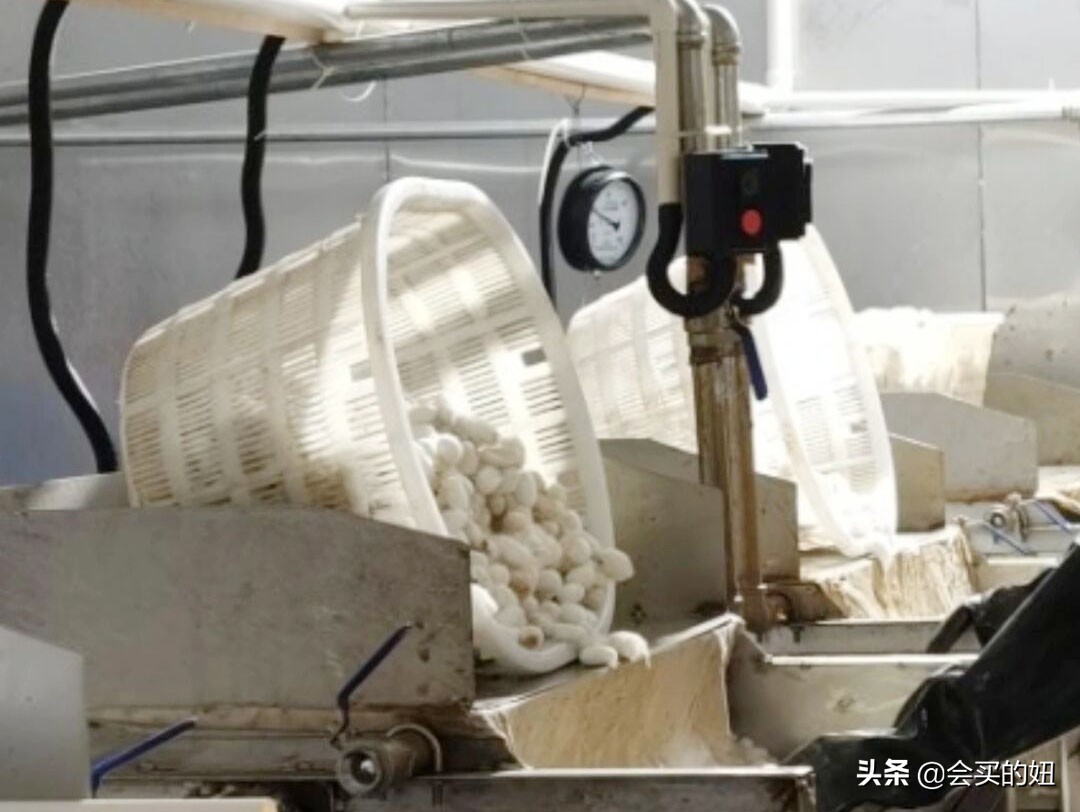 蚕丝被怎么辨别真假的视频,怎样辨别蚕丝被的真假蚕丝