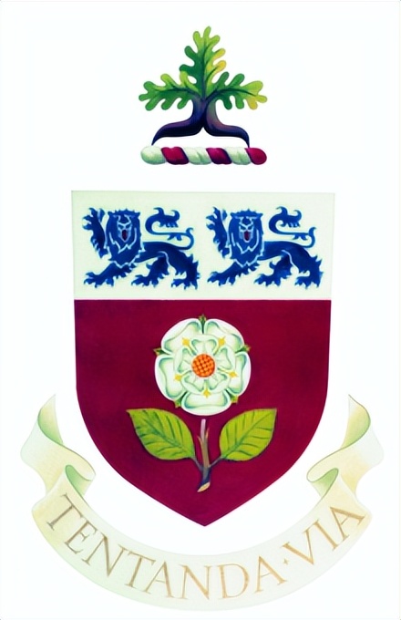 约克大学加拿大算几本,加拿大约克大学和国内大学对比