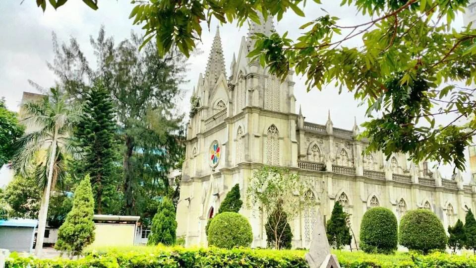 湛江菠萝海,湛江菠萝的海全景