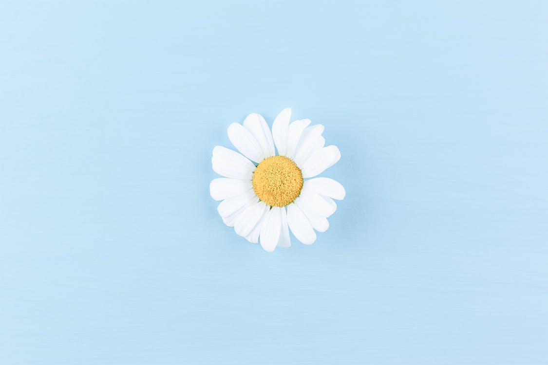 人到中年不要和兄弟姐妹走的太近,人到中年兄弟姐妹不宜多来往