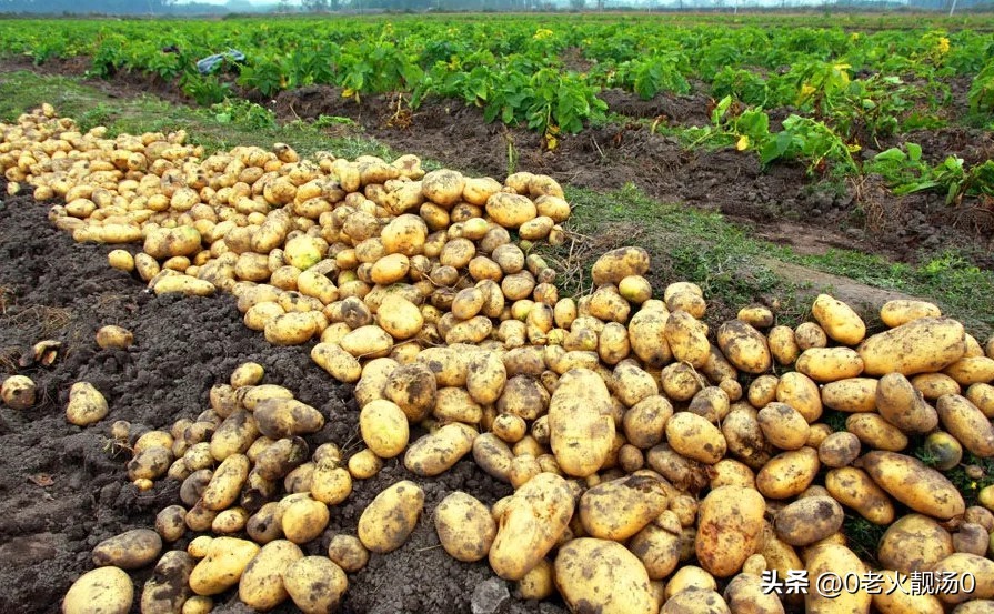 创业赚钱100条忠告,创业赚钱100个常识