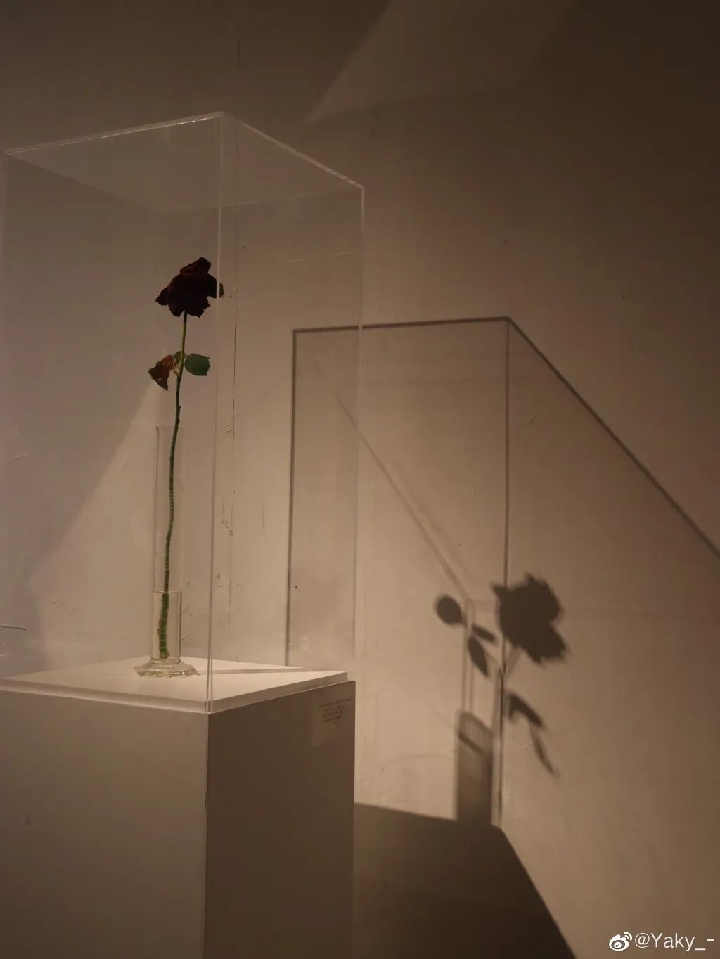 天津冬季遛娃,天津遛娃的免费公园