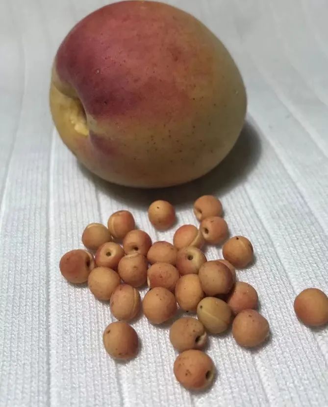 90后妈妈因造假走红,网红辣妈骗局