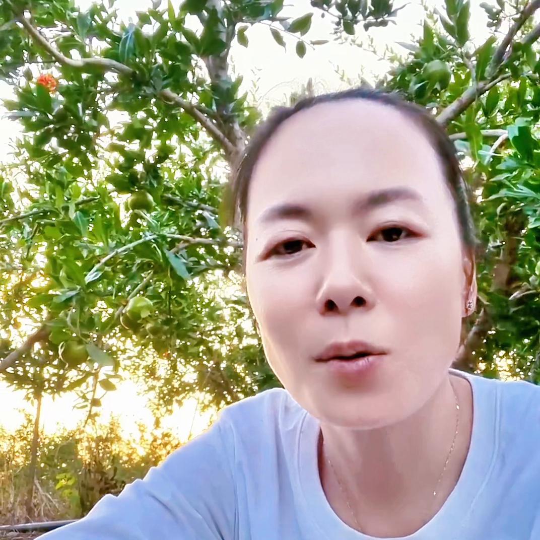 都在说返乡创业！又有多少人了解创业的风险和艰辛#灵茜水...