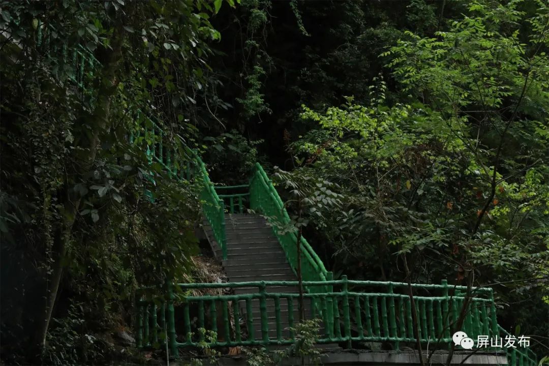 记者带你看民宿,记者带您云游老君山