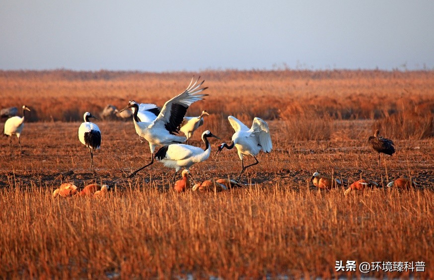 盘点中国拥有的14项世界自然遗产，是否有你的家乡