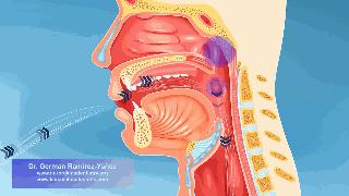 佛手瓜和佛手柑,佛手是佛手柑还是佛手瓜