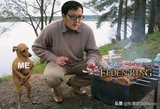 新游戏推荐艾尔登法环,艾尔登法环游戏体验最好的流派