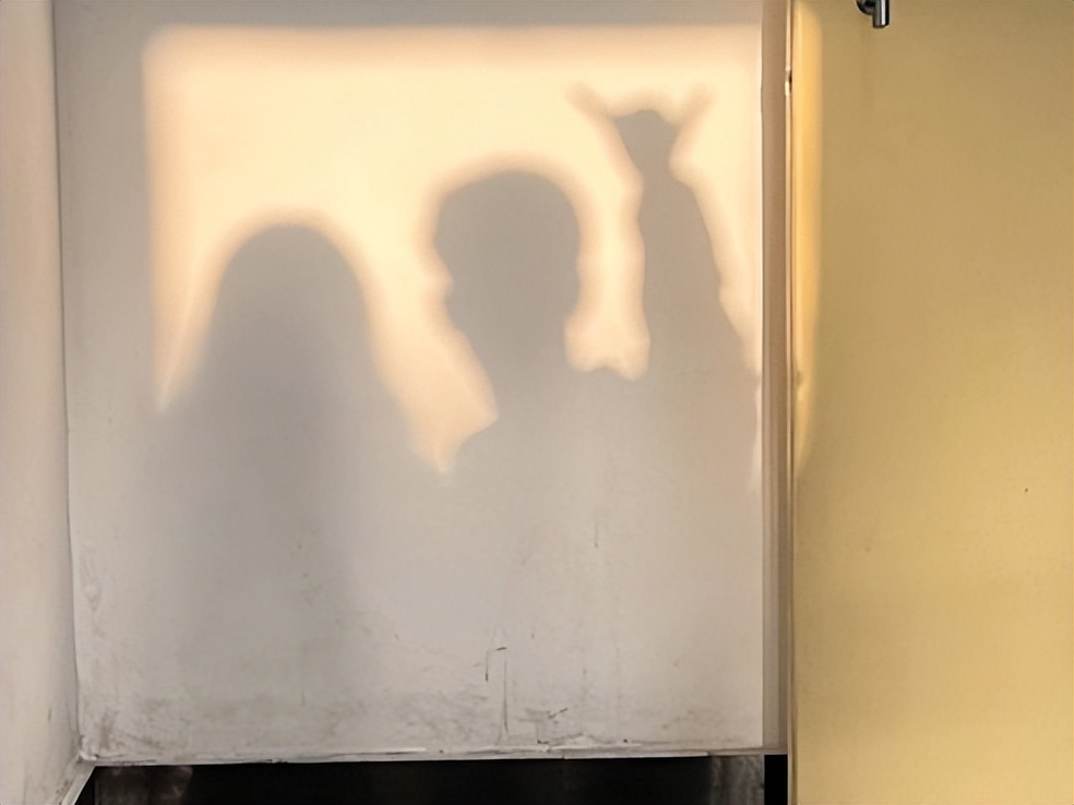 超甜!陕西“神仙情侣”:来自同一大学、同一学院,上岸同所985