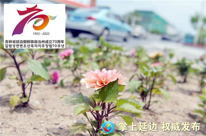 迎州庆40周年,迎州庆视频