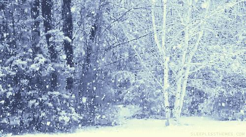 伊丽莎白·泰勒的珠宝最后给了谁,伊丽莎白泰勒和奢华珠宝