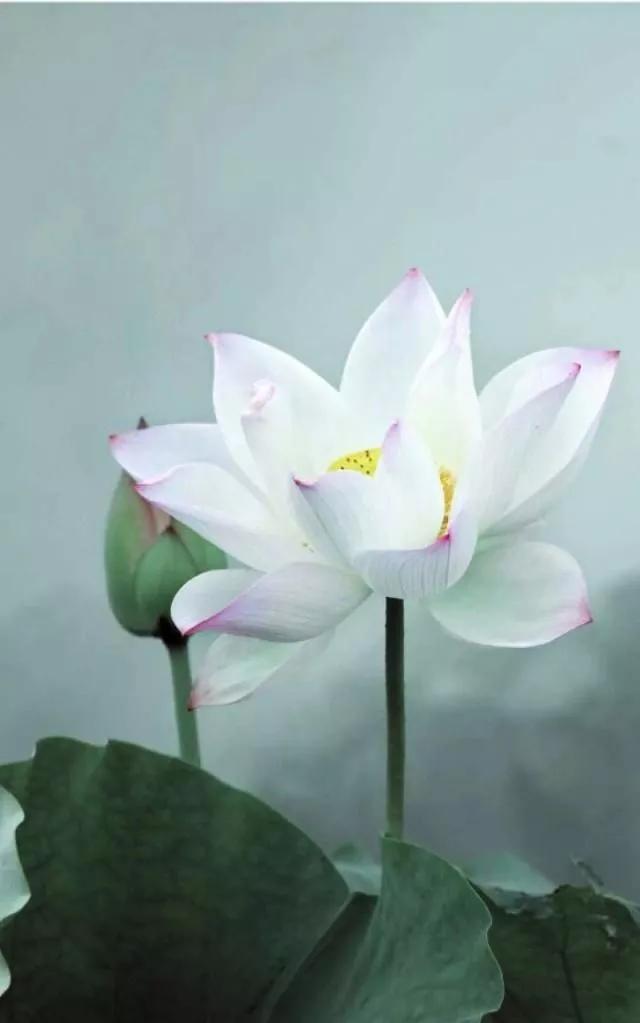 为人处世的20条铁律句句说到要害,为人处世的九大要诀