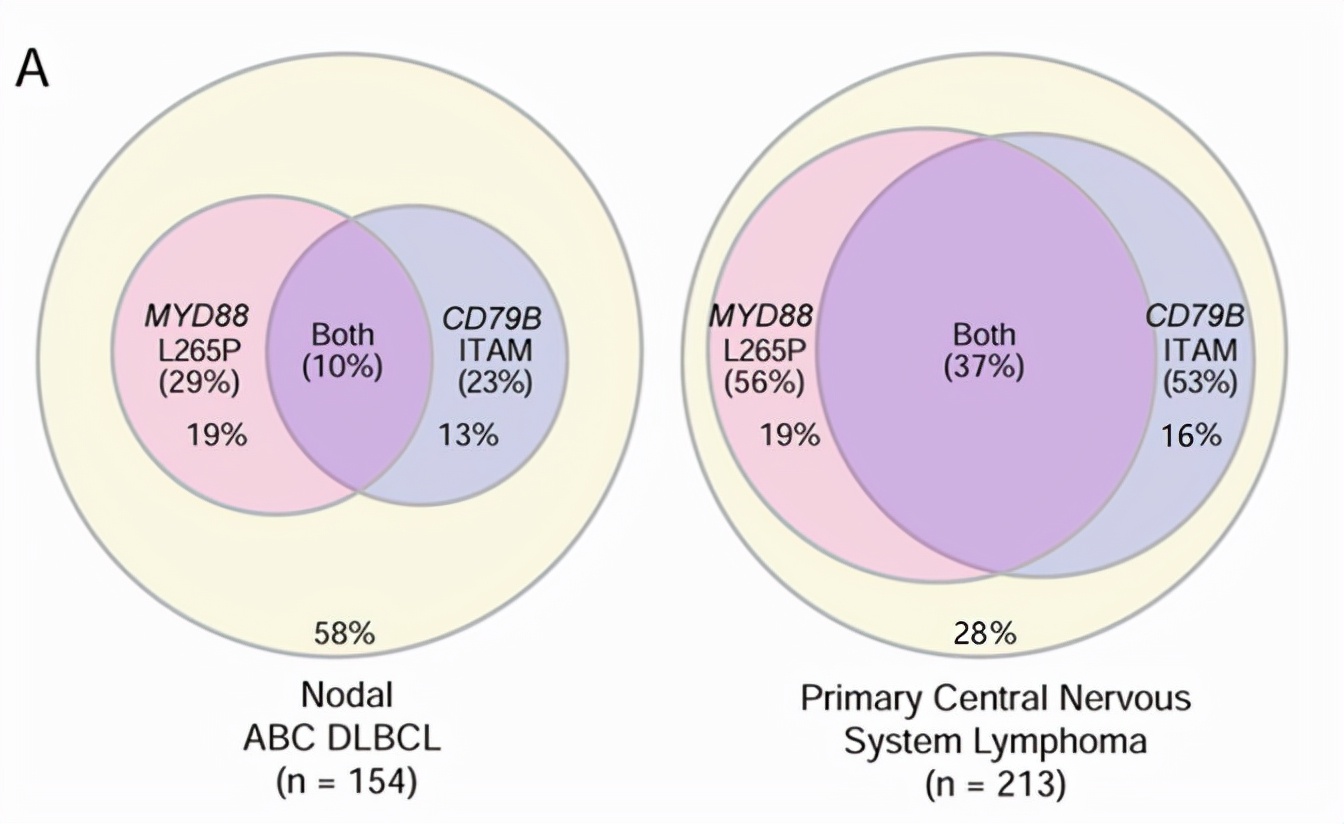 淋巴瘤靶向免疫治疗,中枢神经系统淋巴瘤有什么靶向药