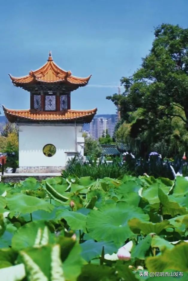 西山区多少度,西山海拔有多少米