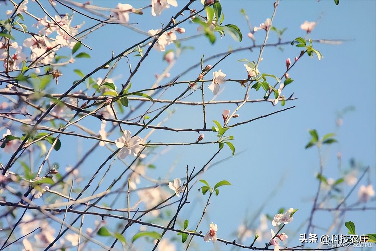 一年打两春，黄土变成金，2023年立春大不同，雨水增加，有3禁忌