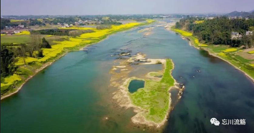 【烟火人间】忘川:富顺蔬菜产业高质量发展前景可期