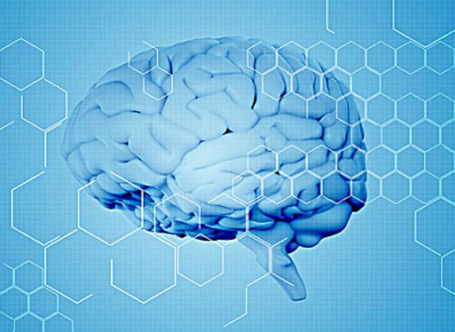 通过“脑之玄府”理论，来谈谈脑梗死的中医辨治思路