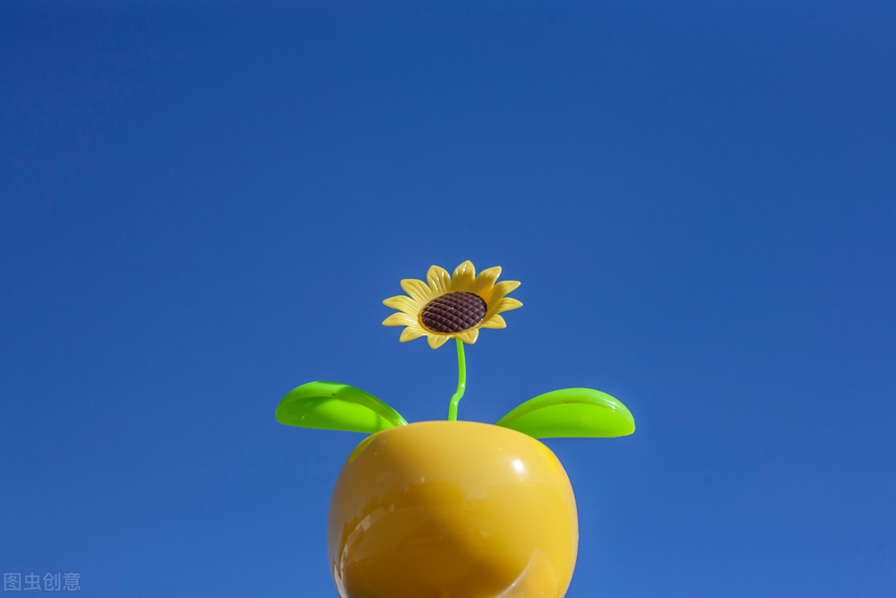 玩具作品欣赏 (我喜欢的玩具作品)