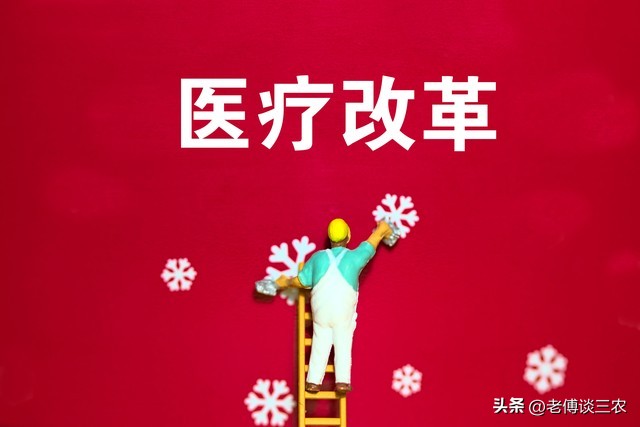 农民得重大疾病国家给有补贴吗,农民得了大病有补助吗