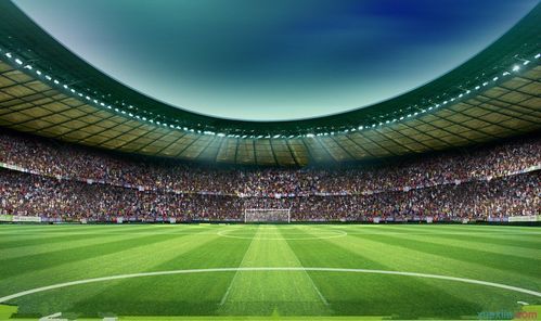 全球变暖会淹没哪些城市,全球气候变暖地球会被淹吗