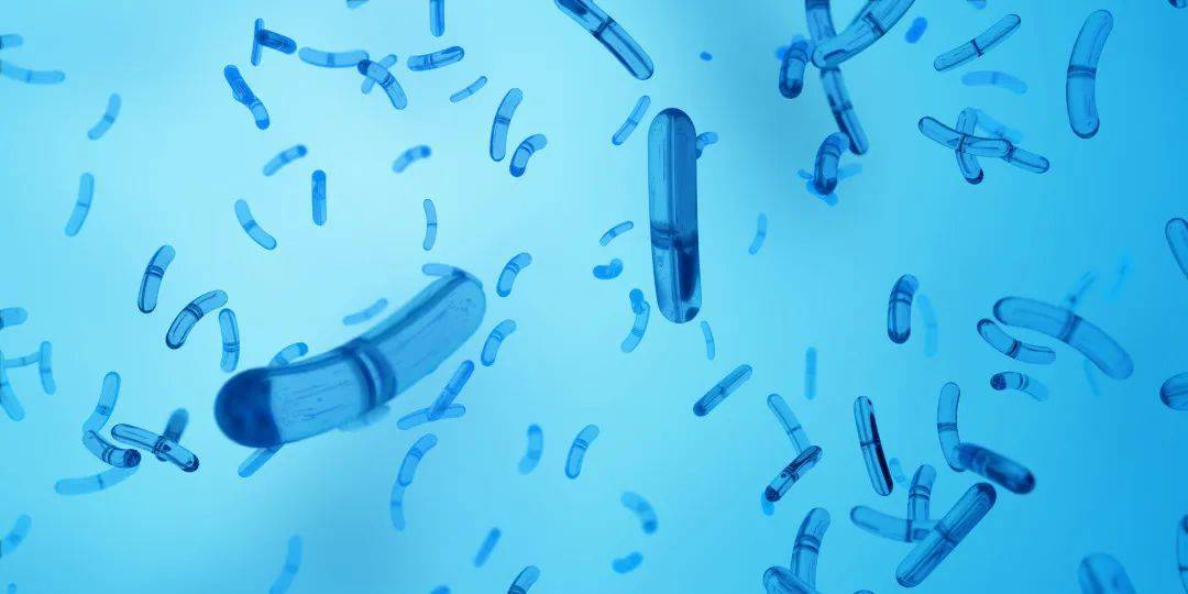 抗抑菌制剂禁用物质,怎么鉴别抗抑菌剂