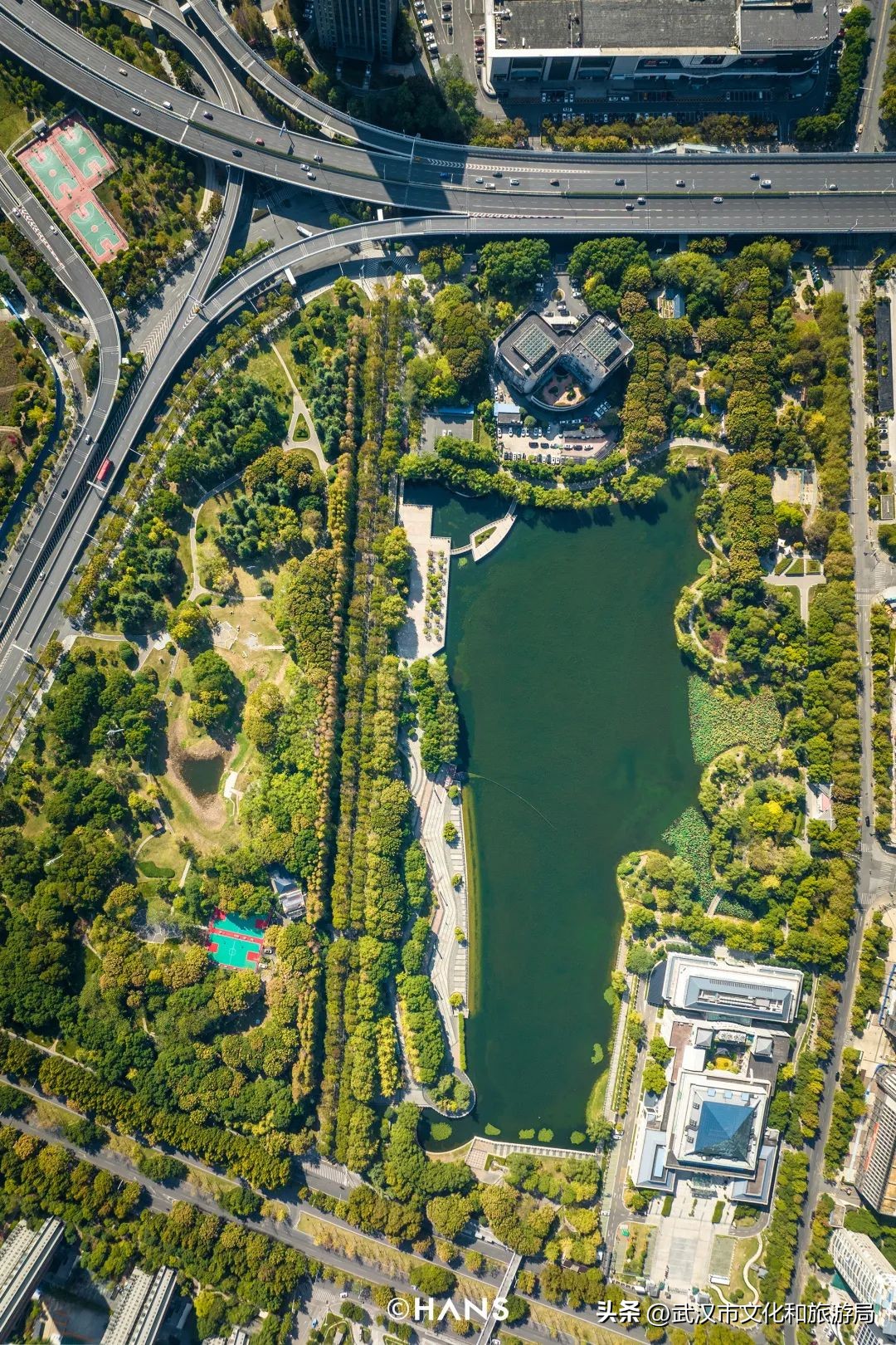 离武汉人最近的湿地，家楼下的10个宝藏小湖