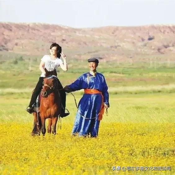 一个温暖的城市鄂尔多斯,鄂尔多斯一个温暖世界的城市