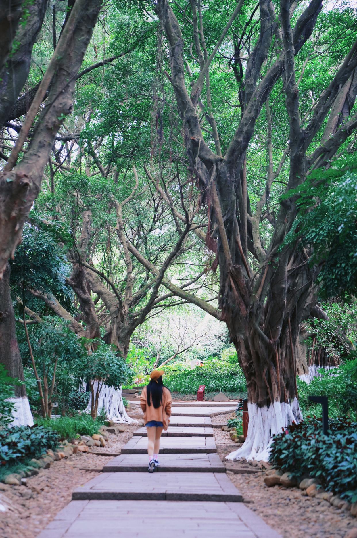 泉州旅游攻略闽南文化之都,中国历史文化与泉州旅游