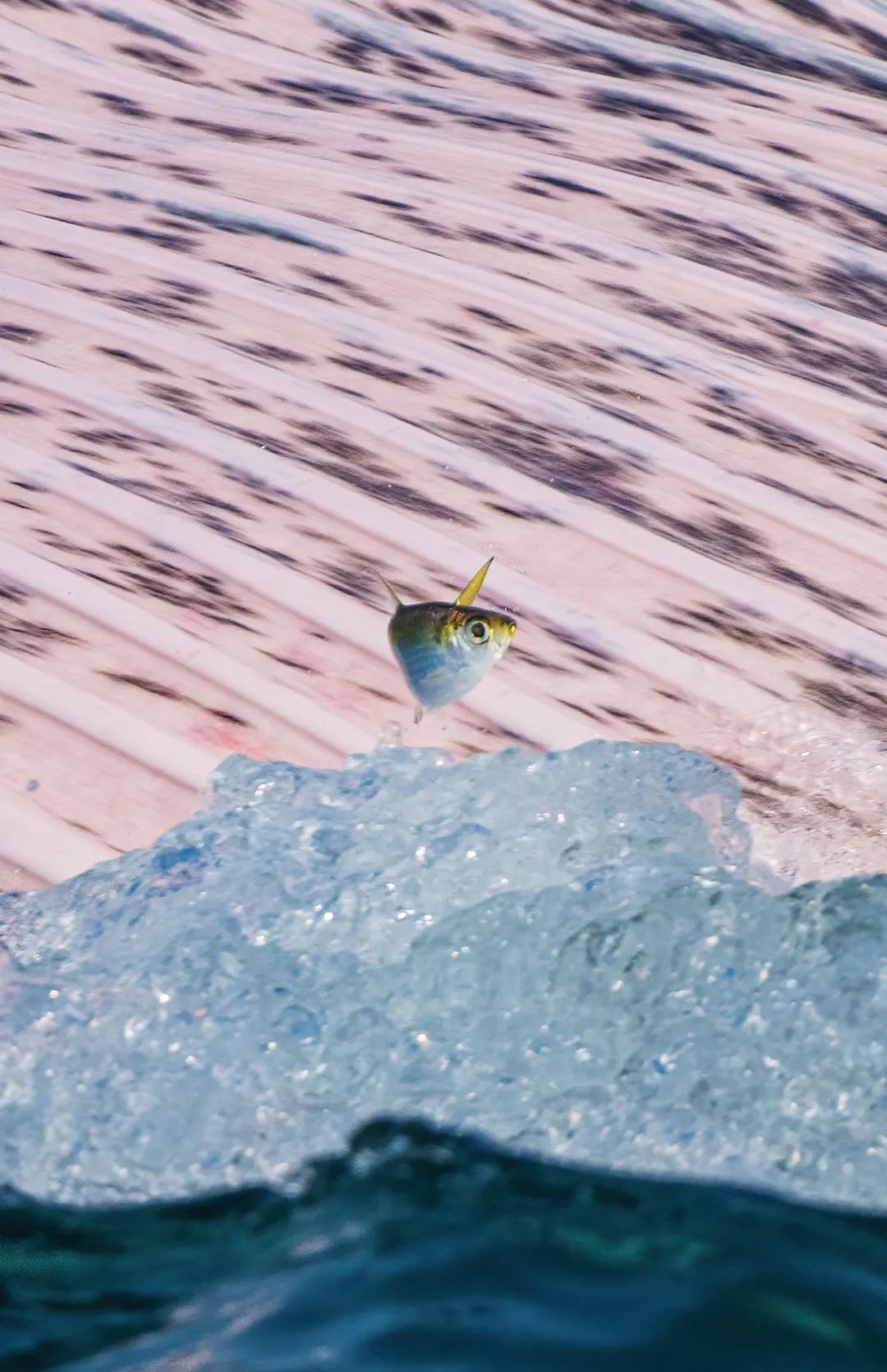 摄影师于海童​：尼康Z9基本满足了我在照片与视频领域的所有需求