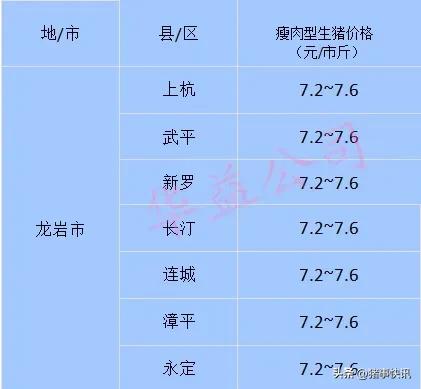 猪价最新快讯,猪价最新行情今日福建