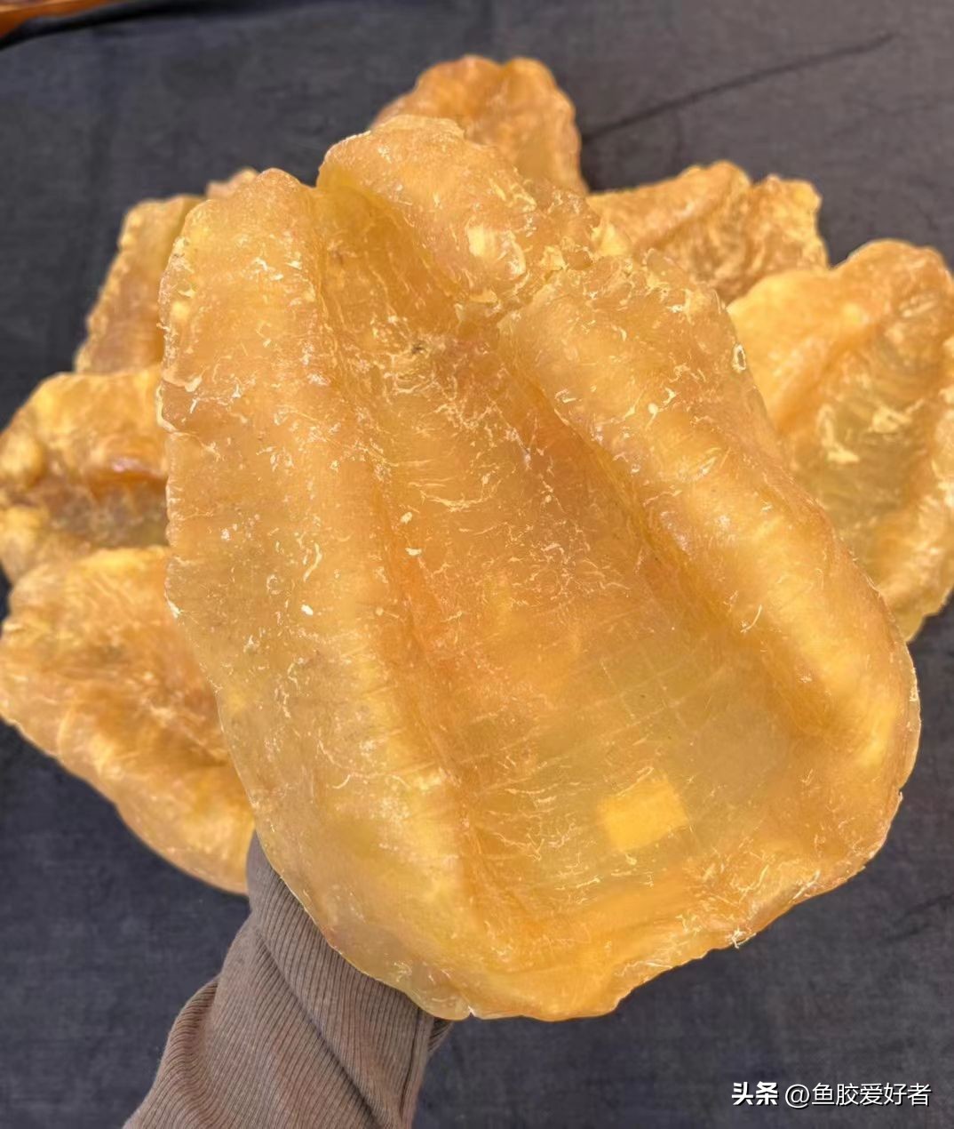 鱼胶是否智商税,鱼胶到底值不值得买