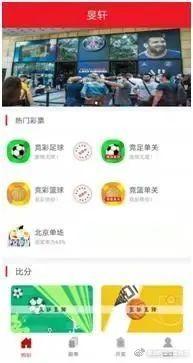 彩票为什么不能网买,彩票可以网络上买吗