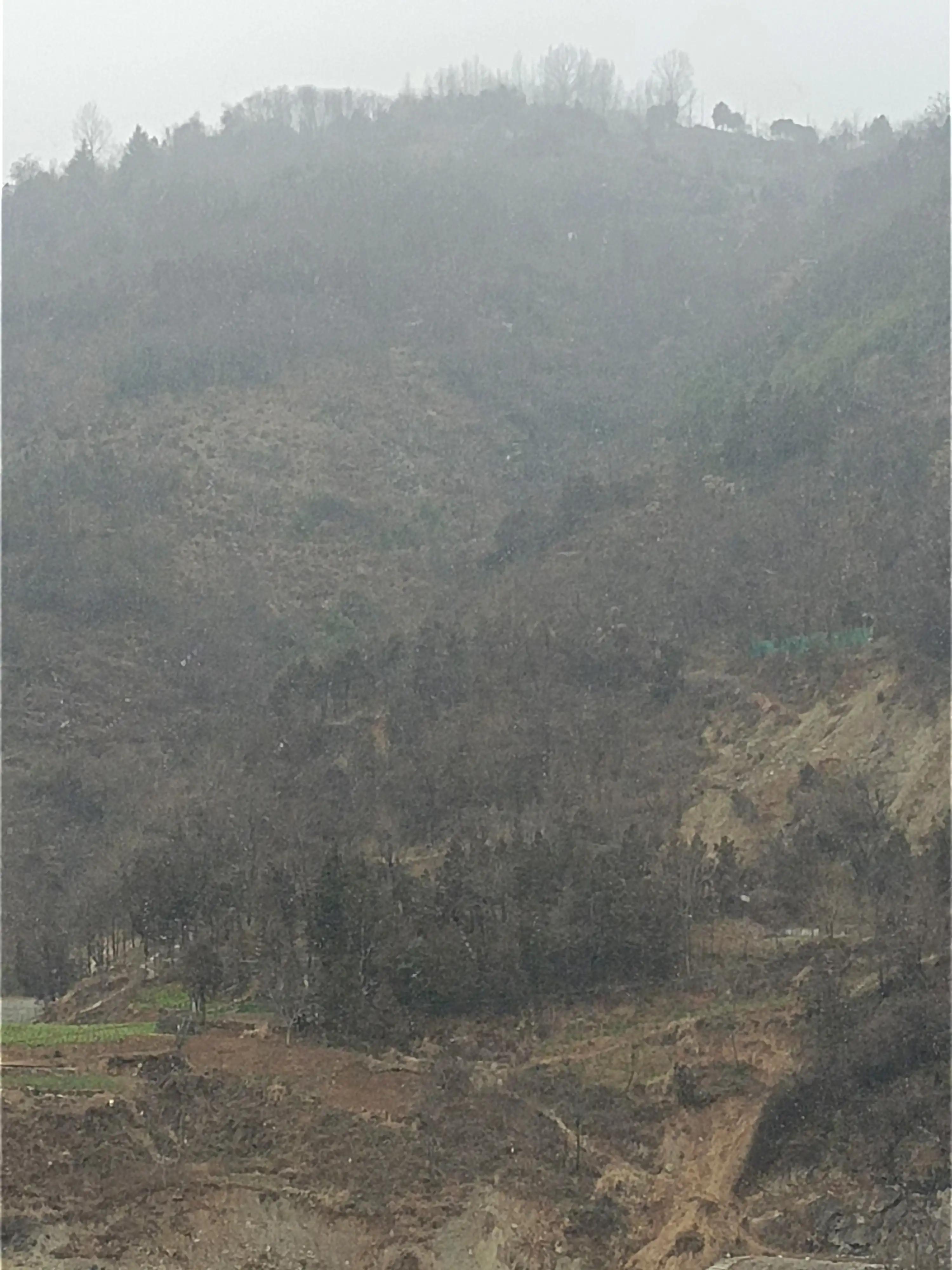 每一个人的本命年过得怎么样,希望自己的本命年都越来越好