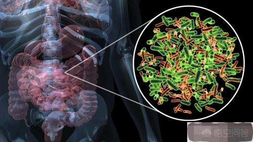 人死后开棺为什么看到嘴里出血,人死进棺材