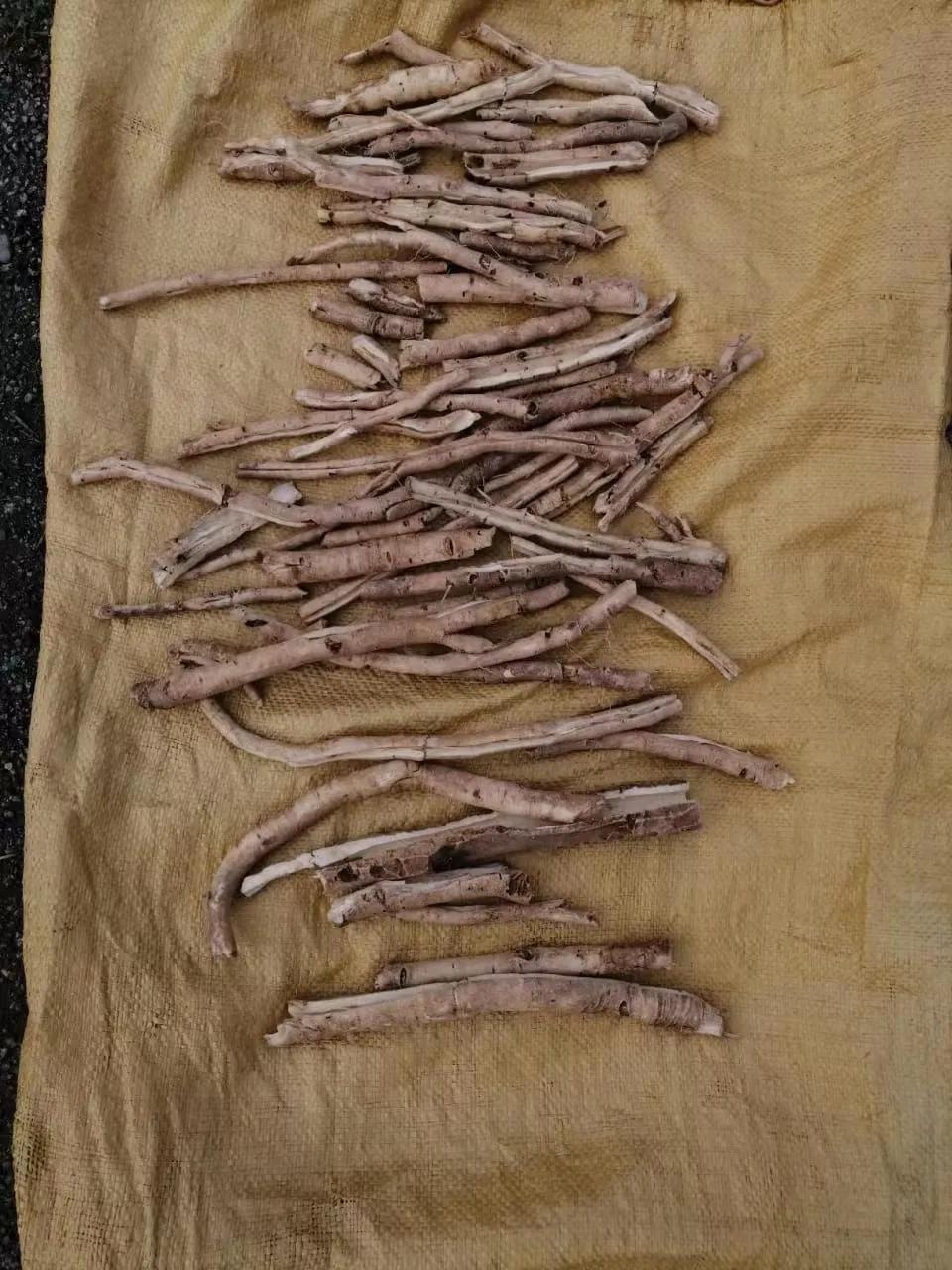 俄罗斯中草药进口中国前景,俄罗斯出口中国的商品草药