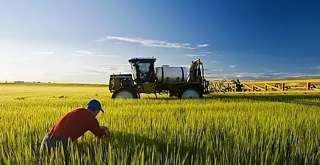 19年加拿大巨轮被堵厦门外海，损失十多亿美元，加总理尝到了苦果