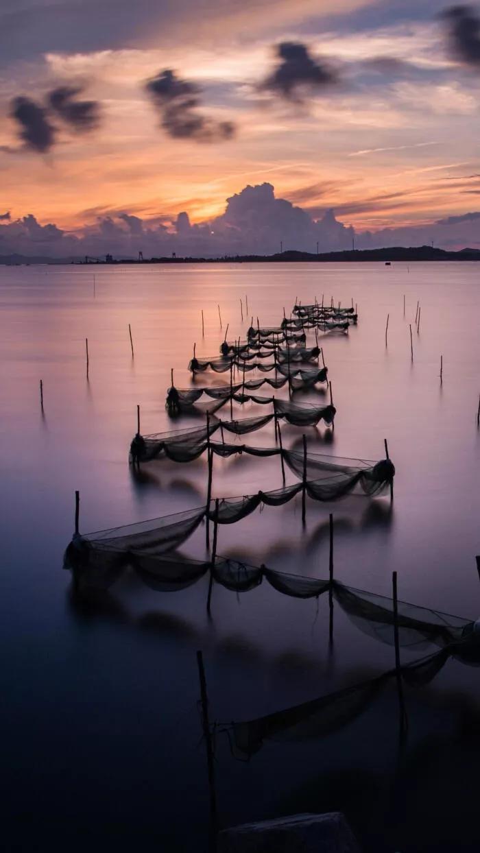 最惊艳的自然风景手机壁纸超清,风景壁纸动态壁纸高清全屏90帧