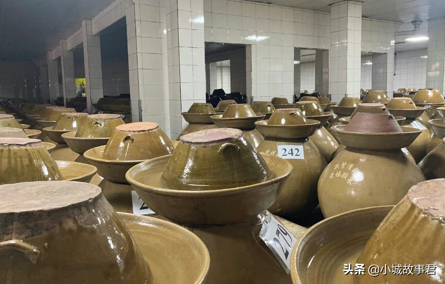 统一企业老坛酸菜方便面,统一老坛酸菜1000人参观