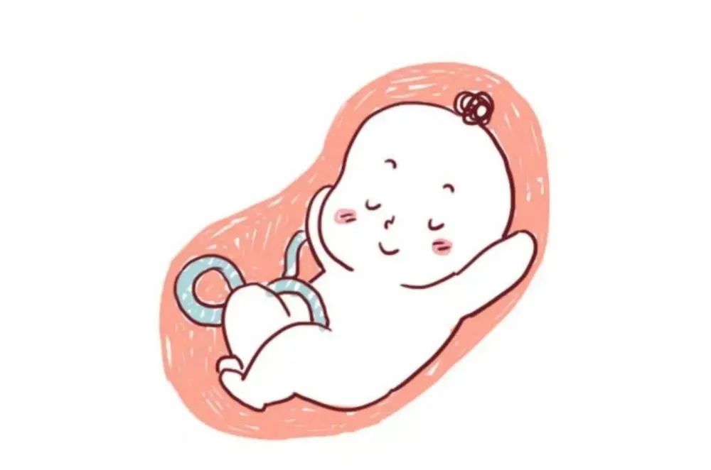 胎儿好不好取决于爸爸体型,胎儿发育好不好依据什么判断