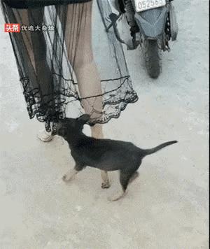 电脑cpu温度高的图片,电脑cpu温度对照表